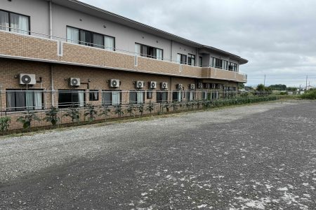 駐車場側の畑の生育状況