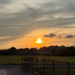 綺麗だなと思いまして。