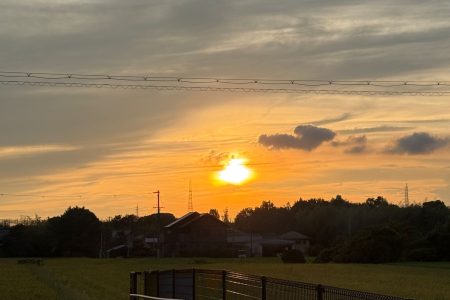 綺麗だなと思いまして。
