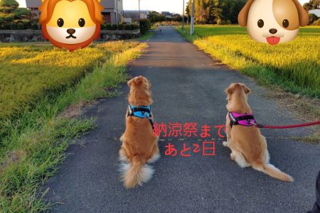 納涼祭2日前