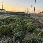 西神の里が地域に対してできること。