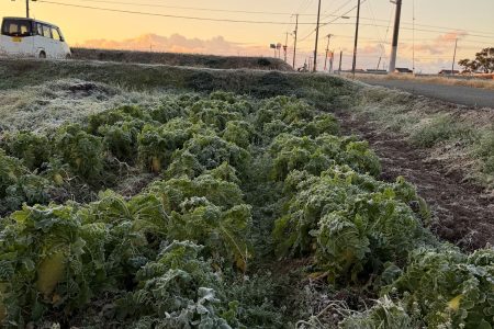 西神の里が地域に対してできること。