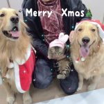 理事長室のクリスマス🎄