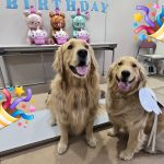 HAPPYBIRTHDAY💗ローズちゃん