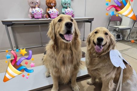 HAPPYBIRTHDAY💗ローズちゃん